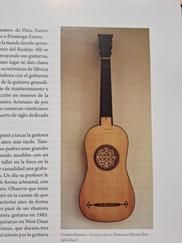 guitarra5